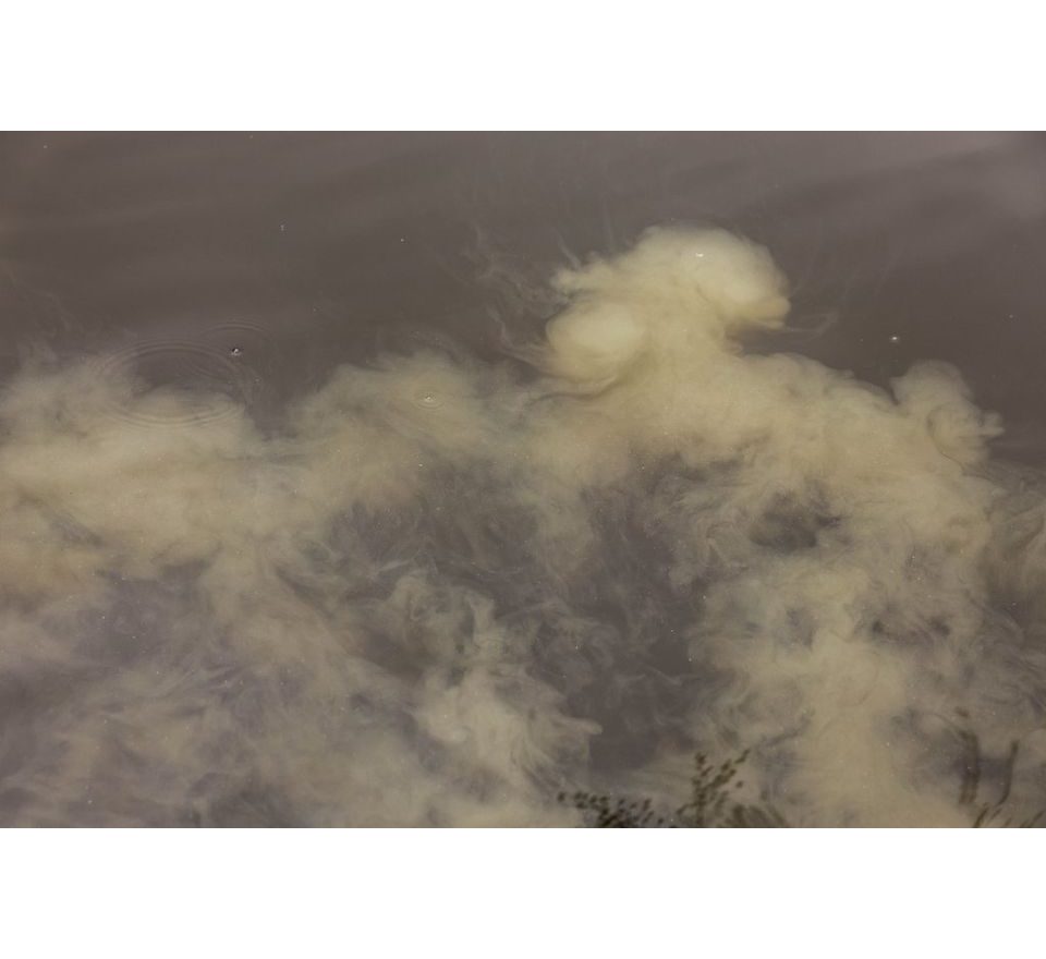 Nikl Boilies Economic Feed Rape Cloud 5kg