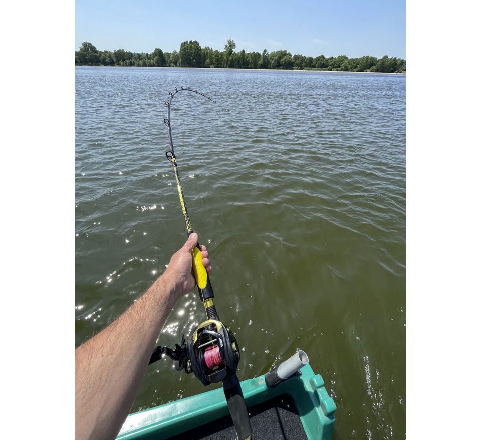 Black Cat Prút Perfect Passion Allstar Cast 2,2m 130g