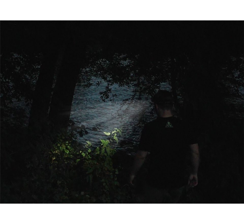 Delphin Čelovka Lumis