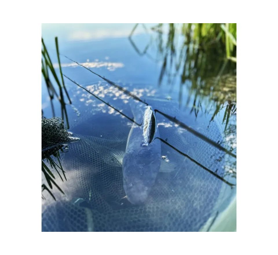 Chytil Krmítková směs Carp Mix 800g