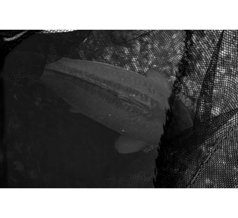 Nash Podběrák Air Force F40 Landing Net 46"