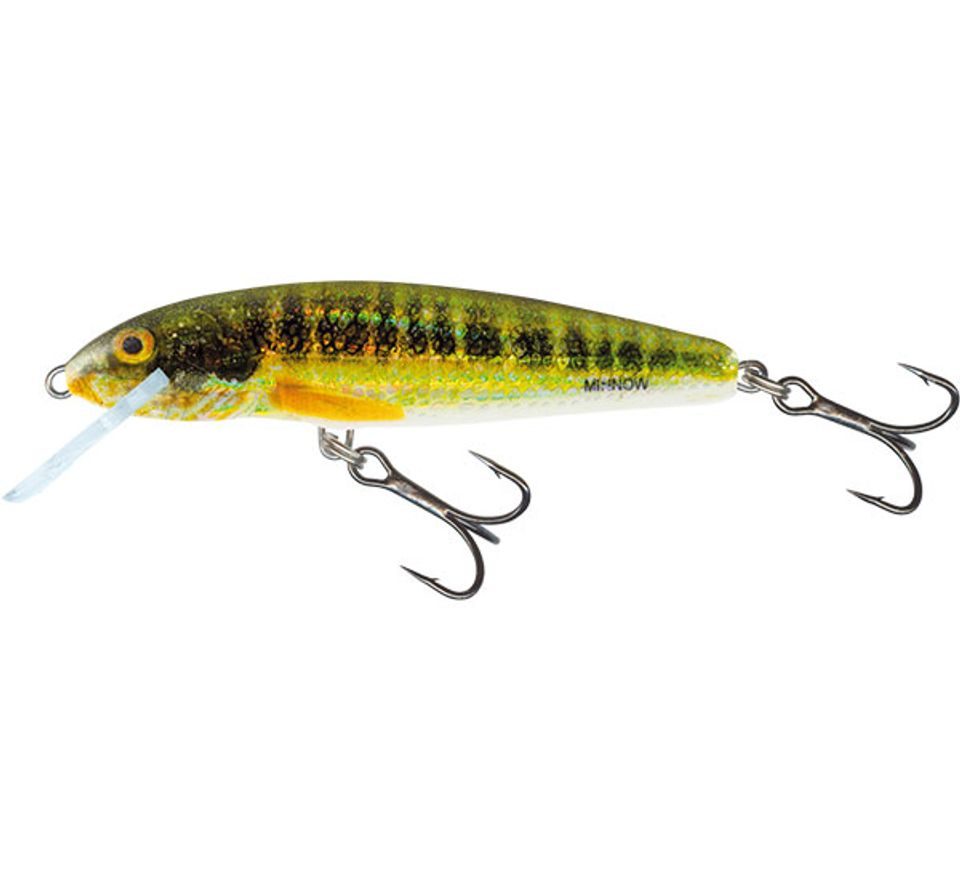 Salmo Wobler Minnow Floating 5cm