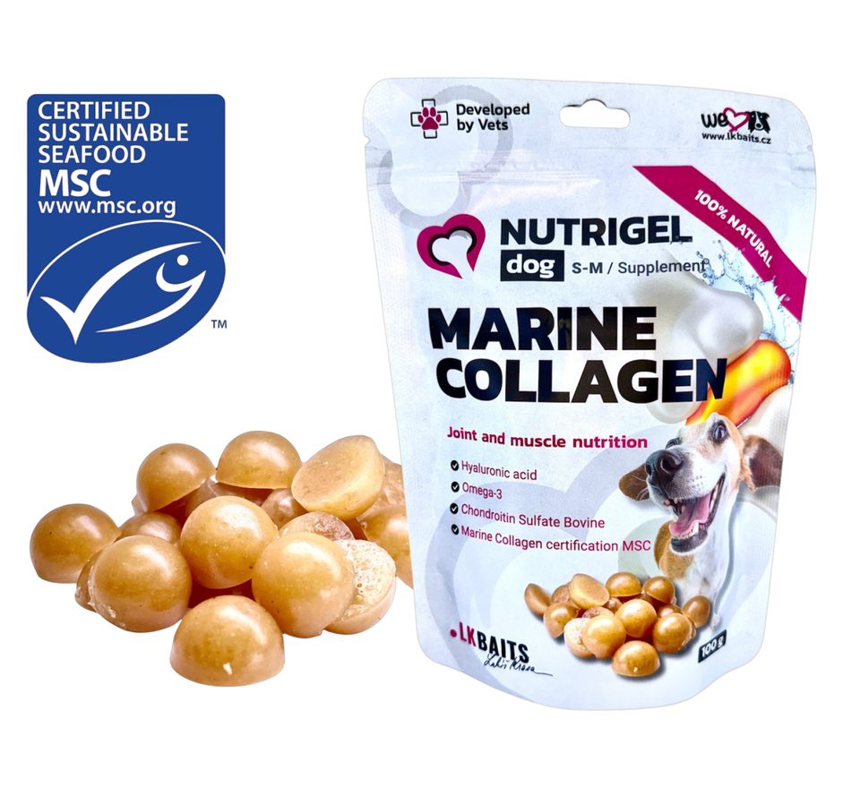 LK Baits Pet Kolagen Nutrigel Dog Marine Collagen