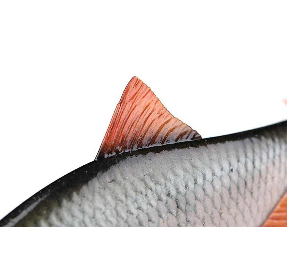 Fox Rage Gumová nástraha Ultra-Realistic Roach Replicant