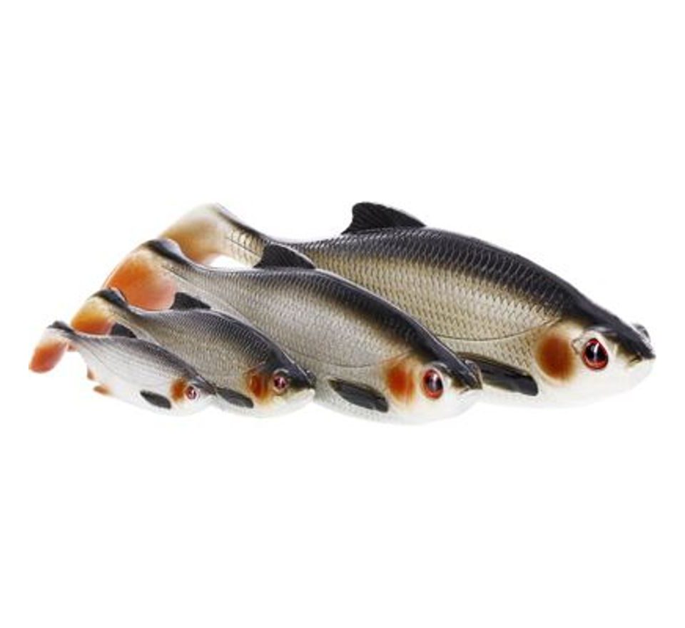 Westin Gumová nástraha Ricky the Roach Shadtail 14cm 42g Real Roach