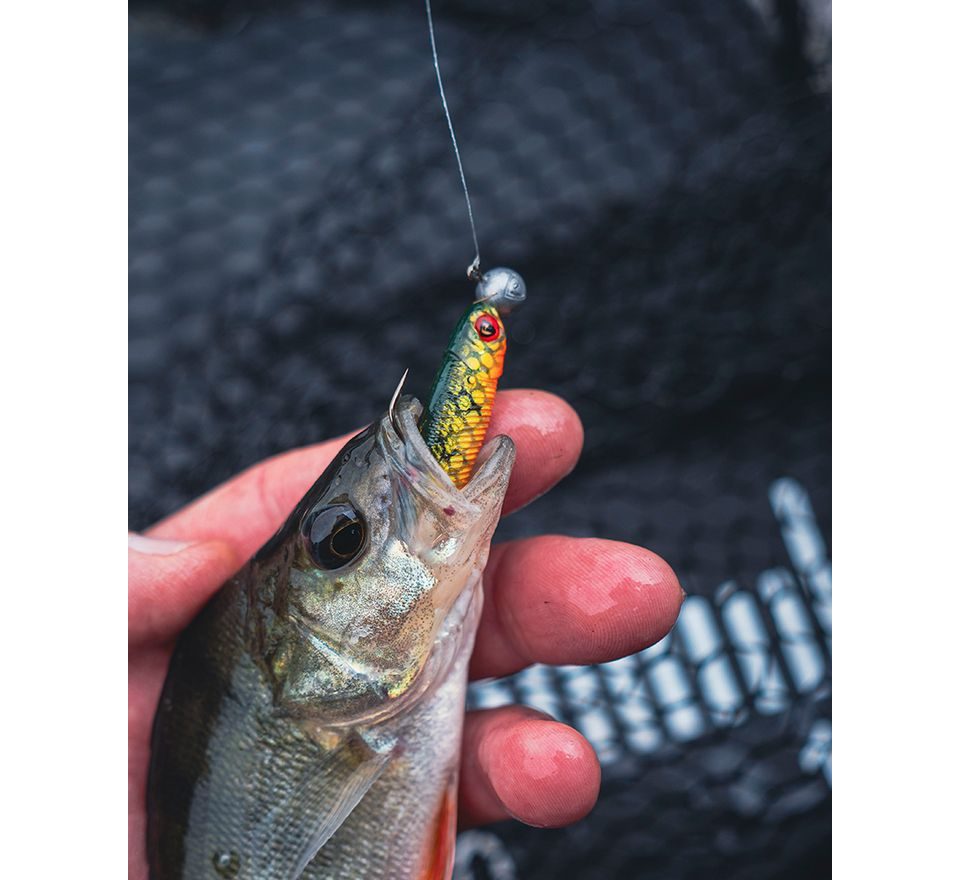 Fox Rage Gumová Nástraha Mini Tiddler Mixed Colour Pack Loaded 8cm 4ks