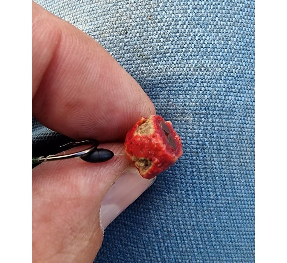 Chytil Feeder peletky s dierou 8mm 30g