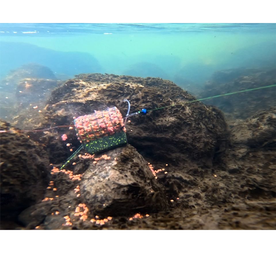 Delphin Kŕmitko s olovenou záťažou RiverStix