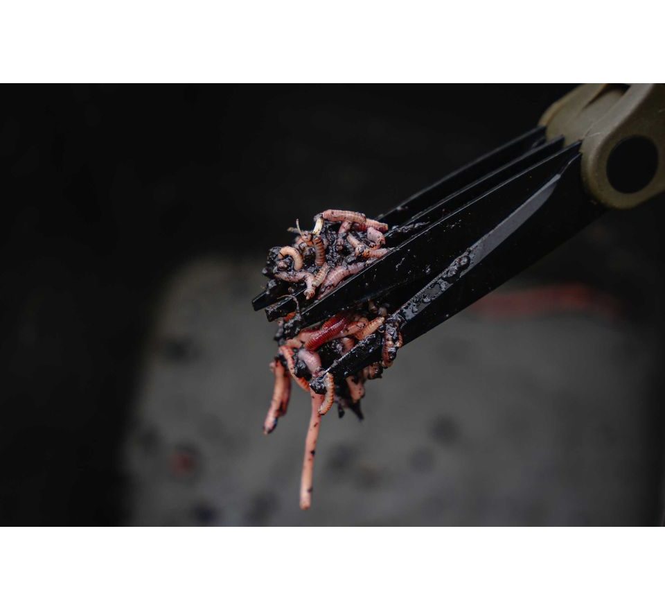 Avid Nůžky na žížaly Worm Chopperz