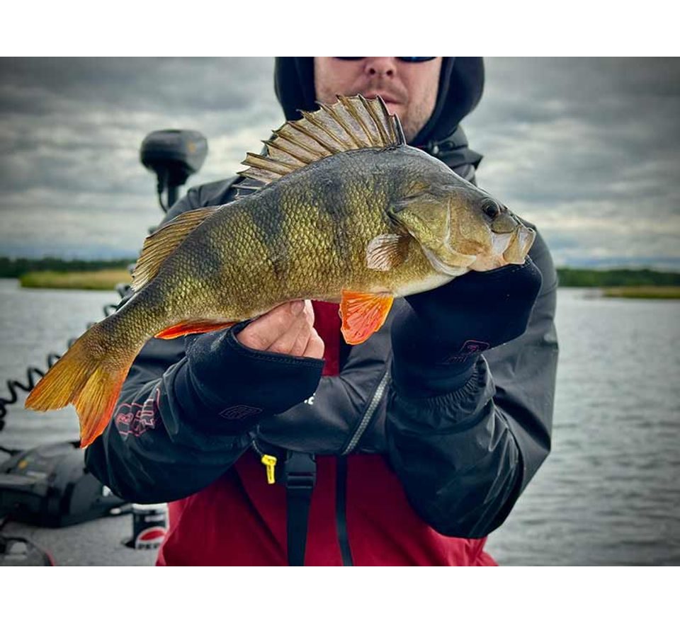 Fox Rage Pro Series Neoprene Mitts