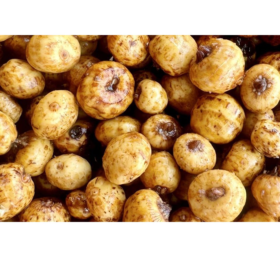 Mivardi Tygří ořech