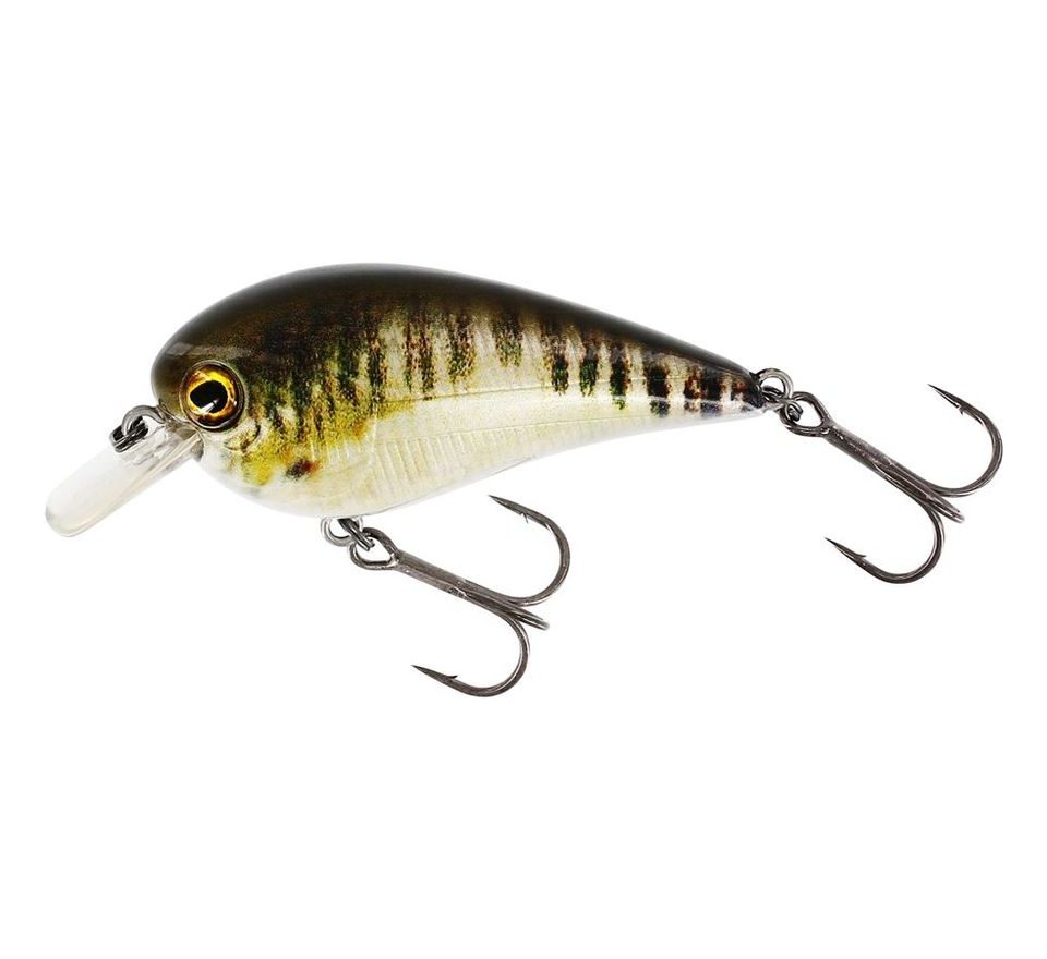 Westin Wobler BassBite 2.5 Squarebill Floating Real Minnow