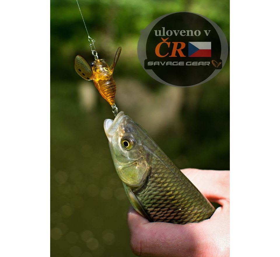 Savage Gear Nástraha 3D Cicada F Brown