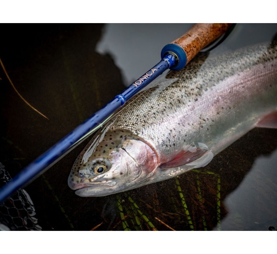 Wychwood Muškařský prut Ionica Fly 9ft #5 4-díl