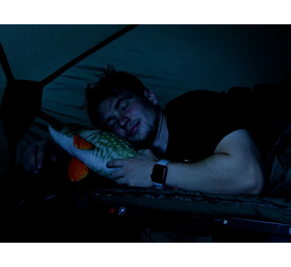 Delphin Plyšová šťuka Piky