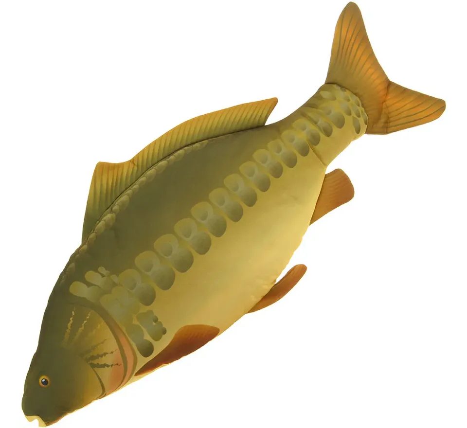 NGT Polštář Kapr 70cm