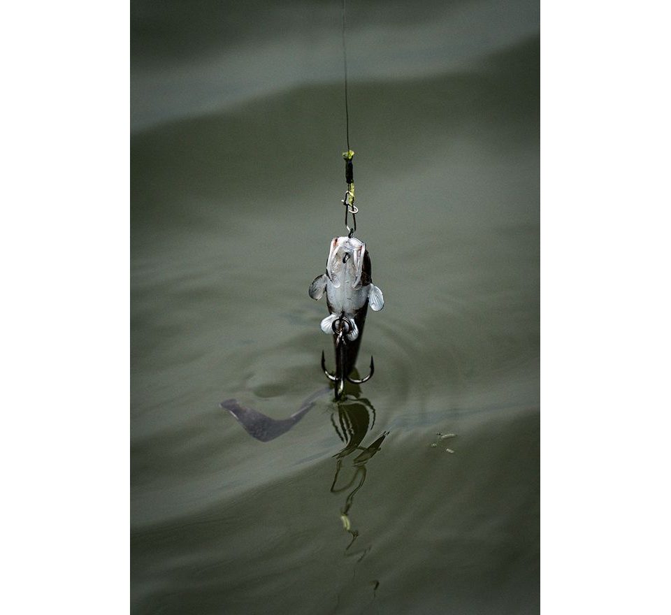 Fox Rage Gumová nástraha Ultra Natural Catfish Replicant