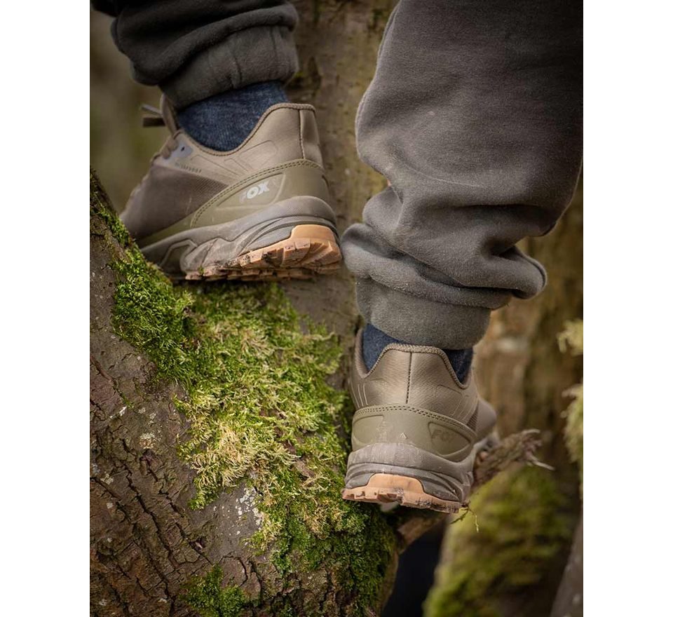 Fox Boty Explorer trainer