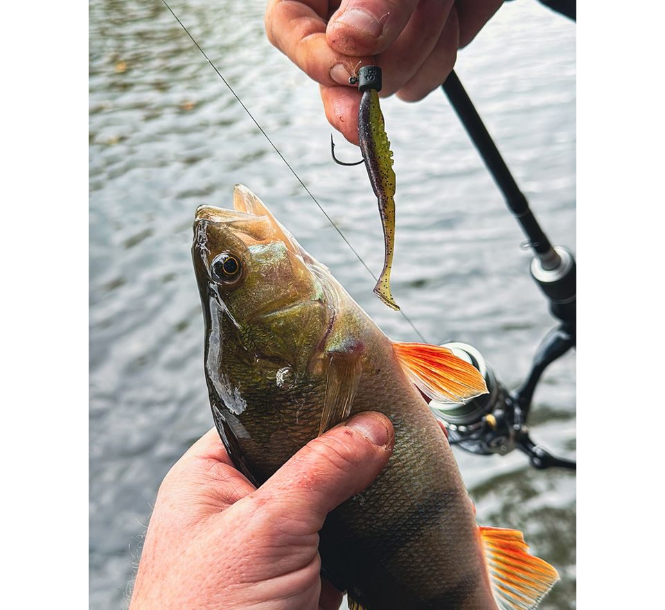 Fox Rage Jigová hlava Micro Ned Heads Camo 1/0 5ks