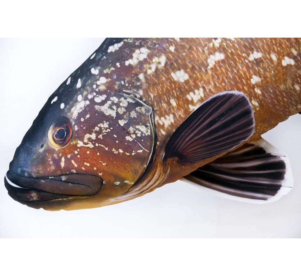 Gaby Polštář Kanic vroubený 100cm