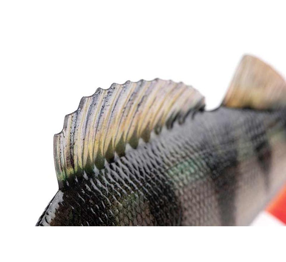 Obrázek je pouze orientační