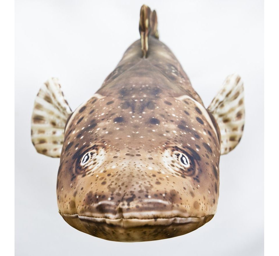 Gaby Polštář Ploskohlavec tmavý 102cm