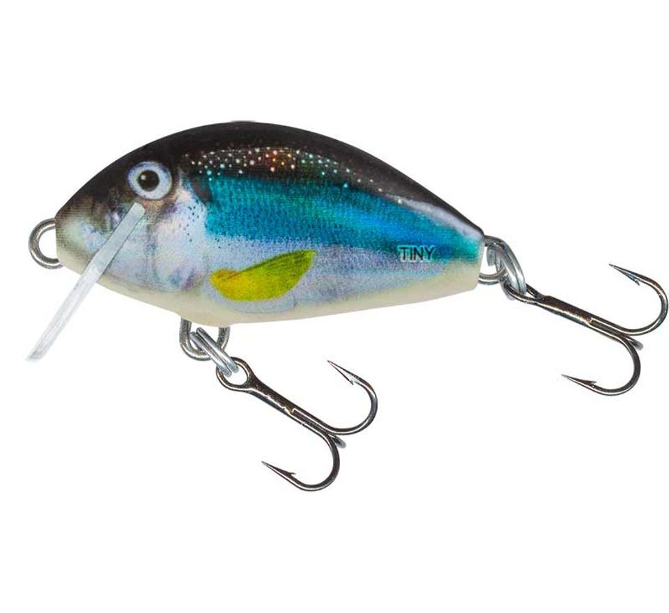 Salmo Wobler Tiny Holo Smelt