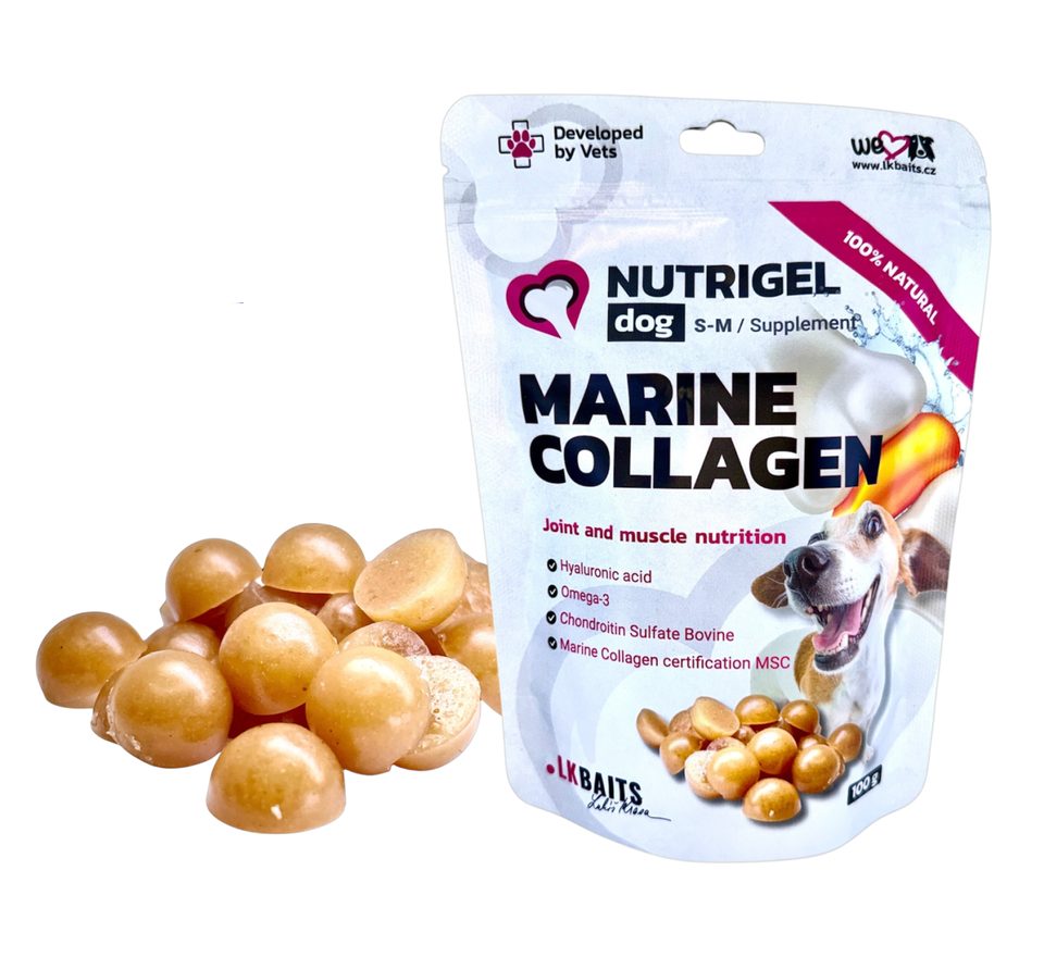 LK Baits Pet Kolagen Nutrigel Dog Marine Collagen