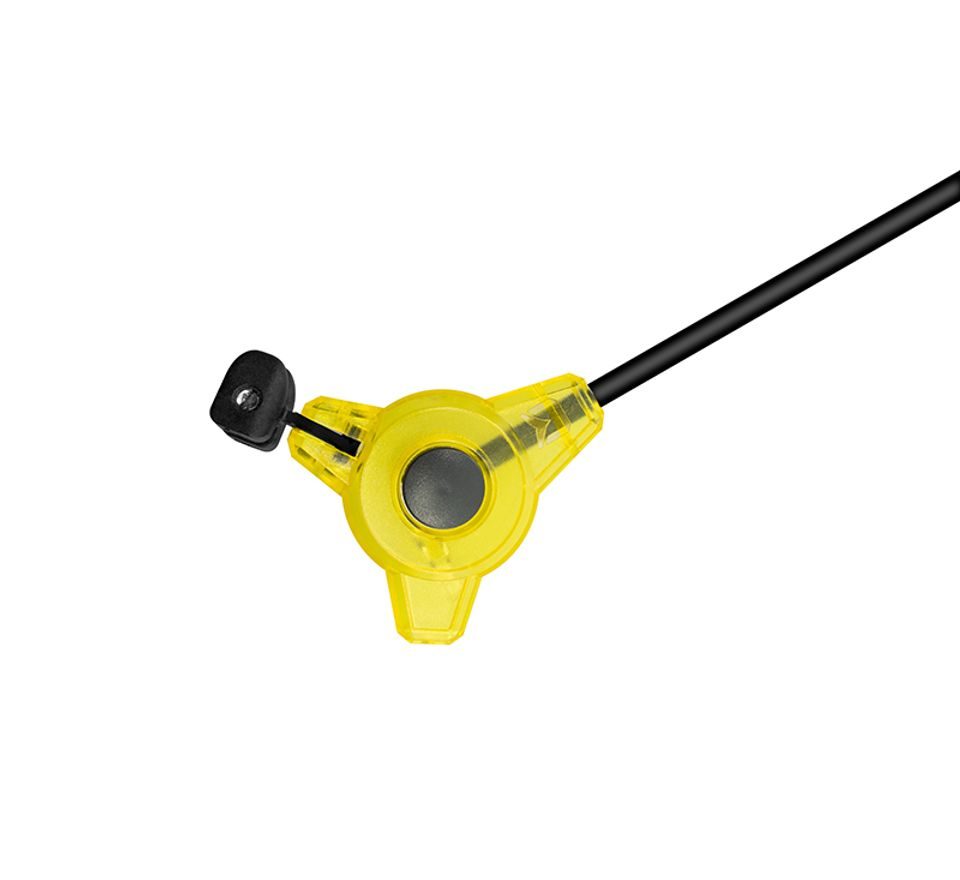 Delphin Swinger s ramienkom Tryo