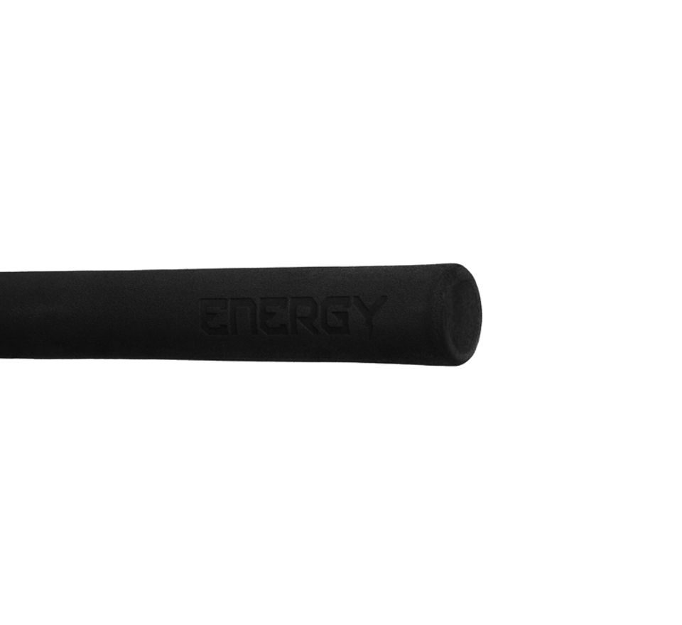 Delphin Prut Energy Catfish 3,1m 250-500g