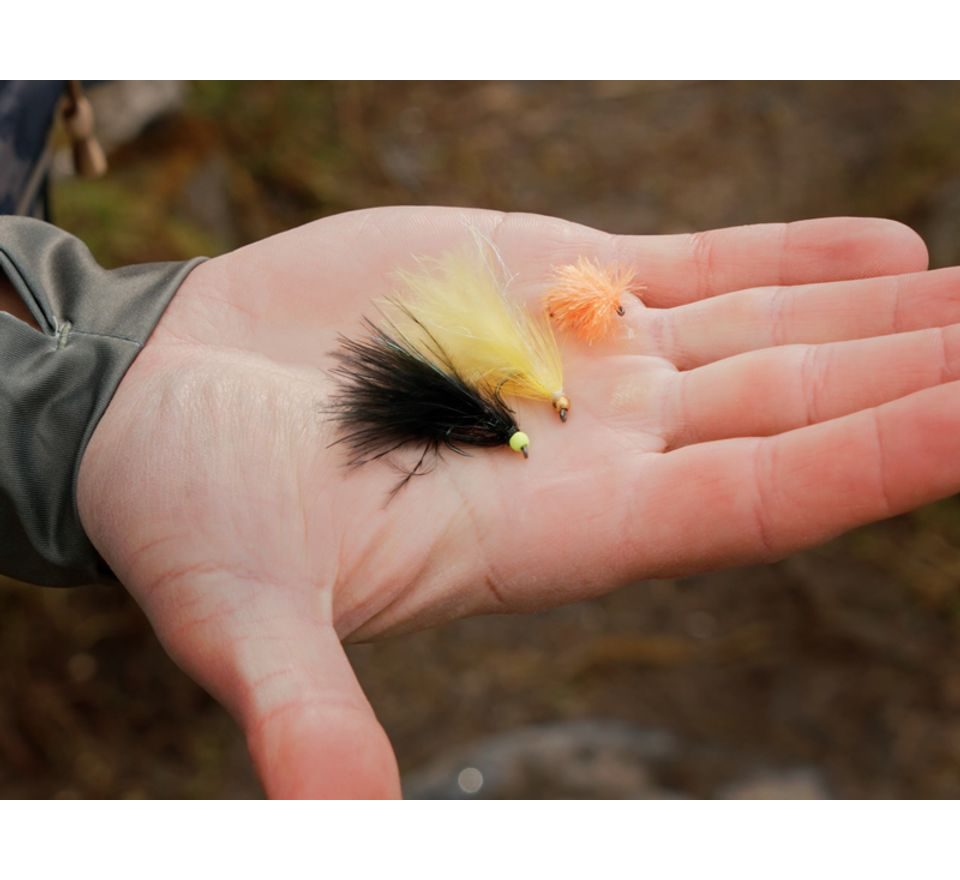 Delphin Sada umělých mušek Fly Pond trout 10ks