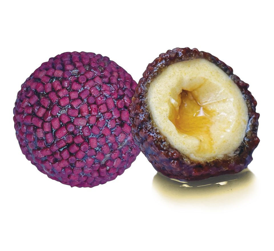 LK Baits Nutrigo Pellets Red Halibut