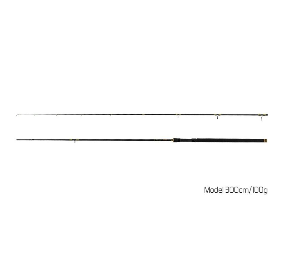 Delphin Prút Murena 210cm 100g 2 diel