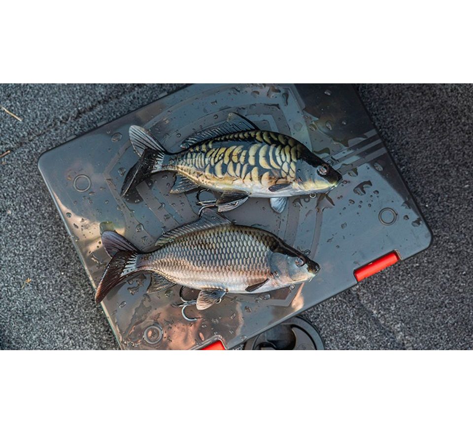 Fox Rage Gumová nástraha Ultra-Realistic Common Carp Replicant
