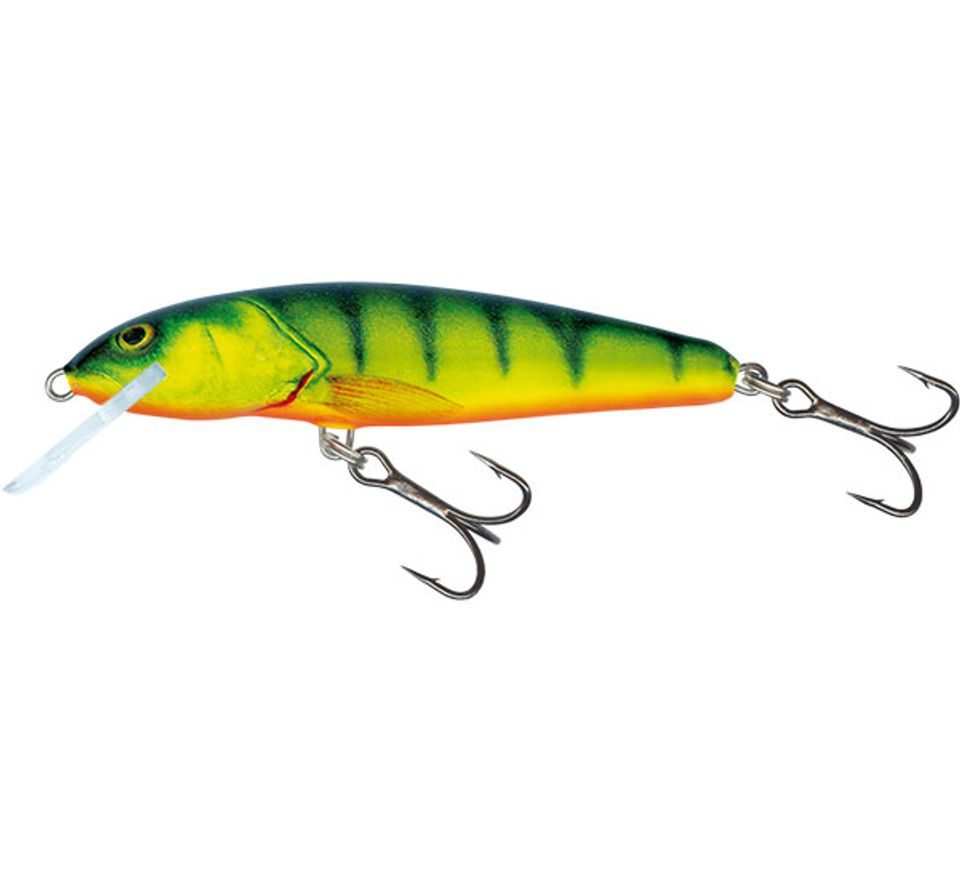 Salmo Wobler Minnow Sinking 5cm