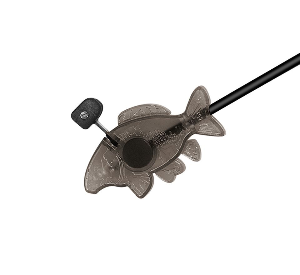 Delphin Swinger s ramínkem Carpy