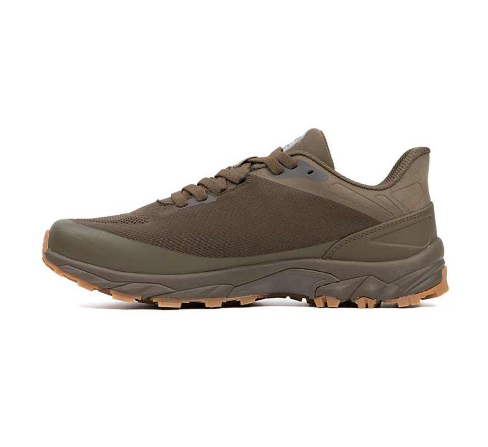 Fox Boty Explorer trainer