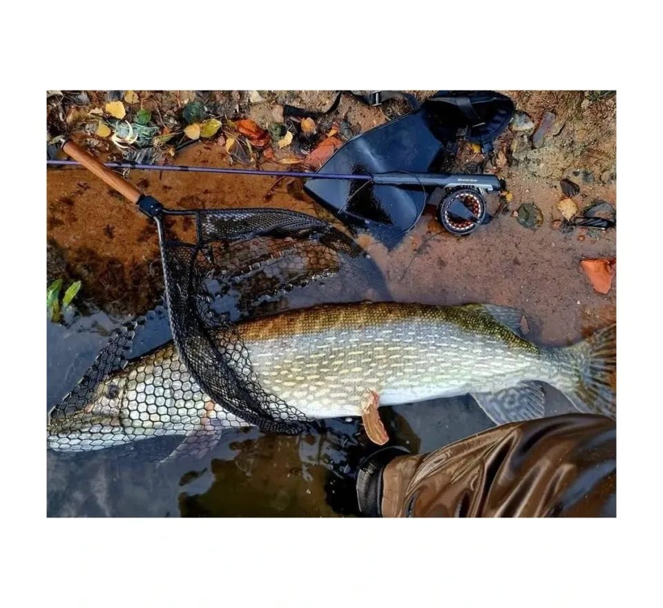 Fencl Originální náhradní pogumovaná podběráková síť 240 x 90cm