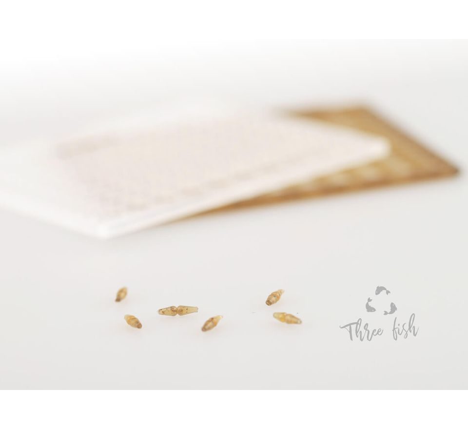 Zfish Zarážky Boilie Stops ZX 240ks