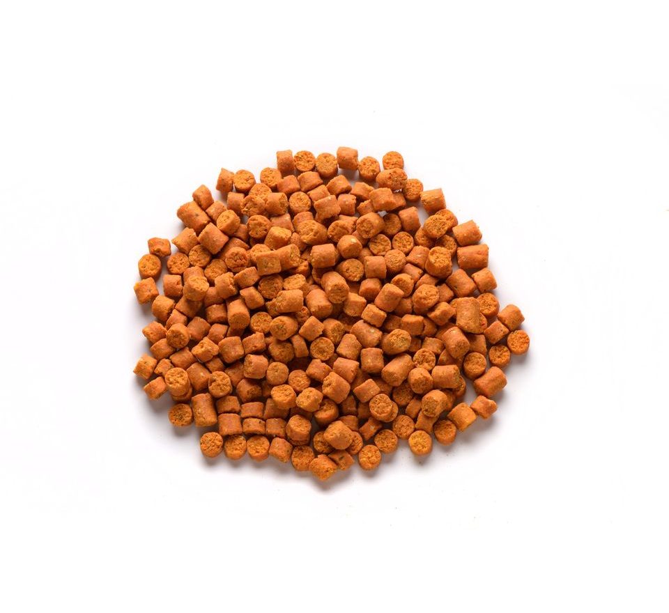 Mivardi Pelety Rapid Easy Catch Mango