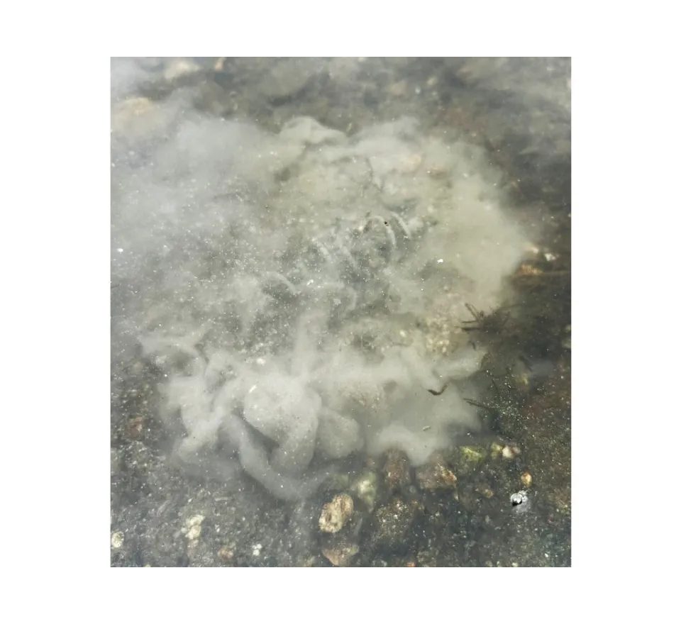 Chytil Krmítková směs Carp Mix 800g