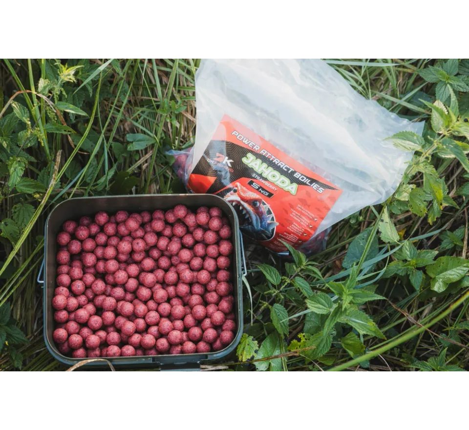DK Fishing Boilies Power Attract 5kg