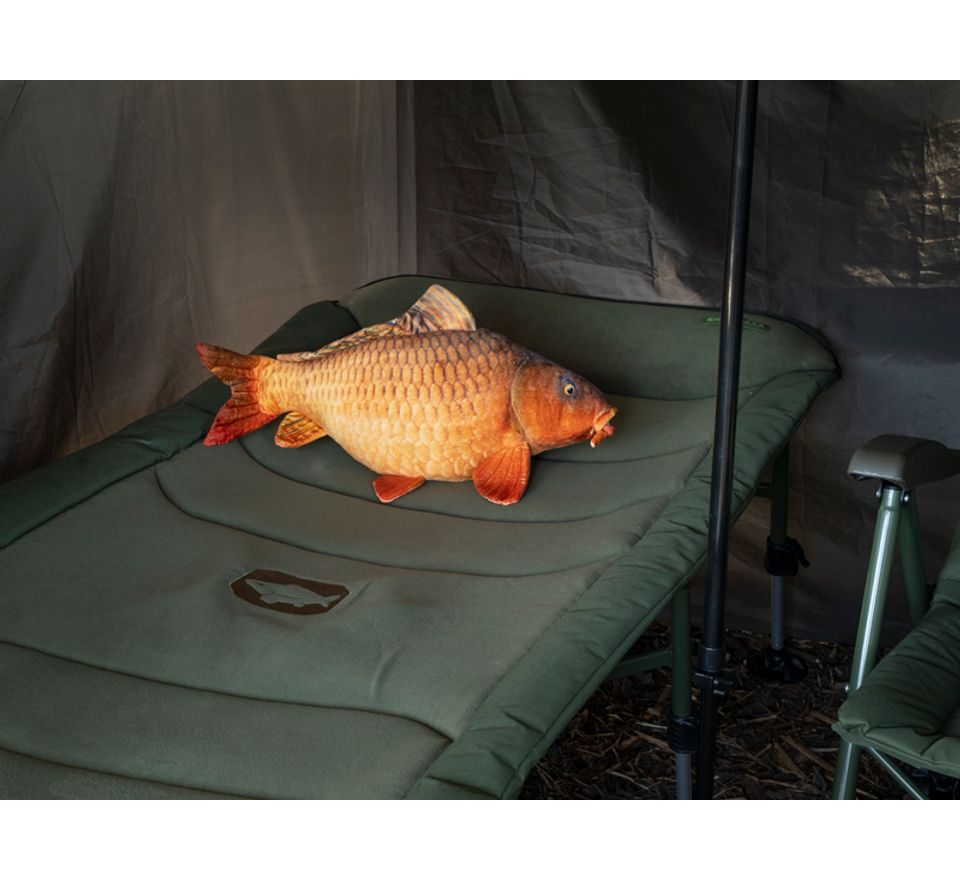 Delphin Plyšový kapr Carpy