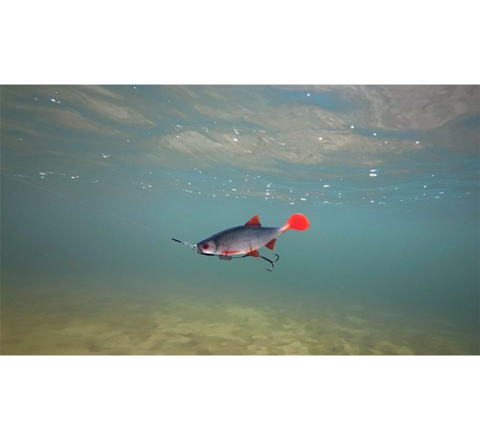 Fox Rage Gumová nástraha Ultra Natural Roach