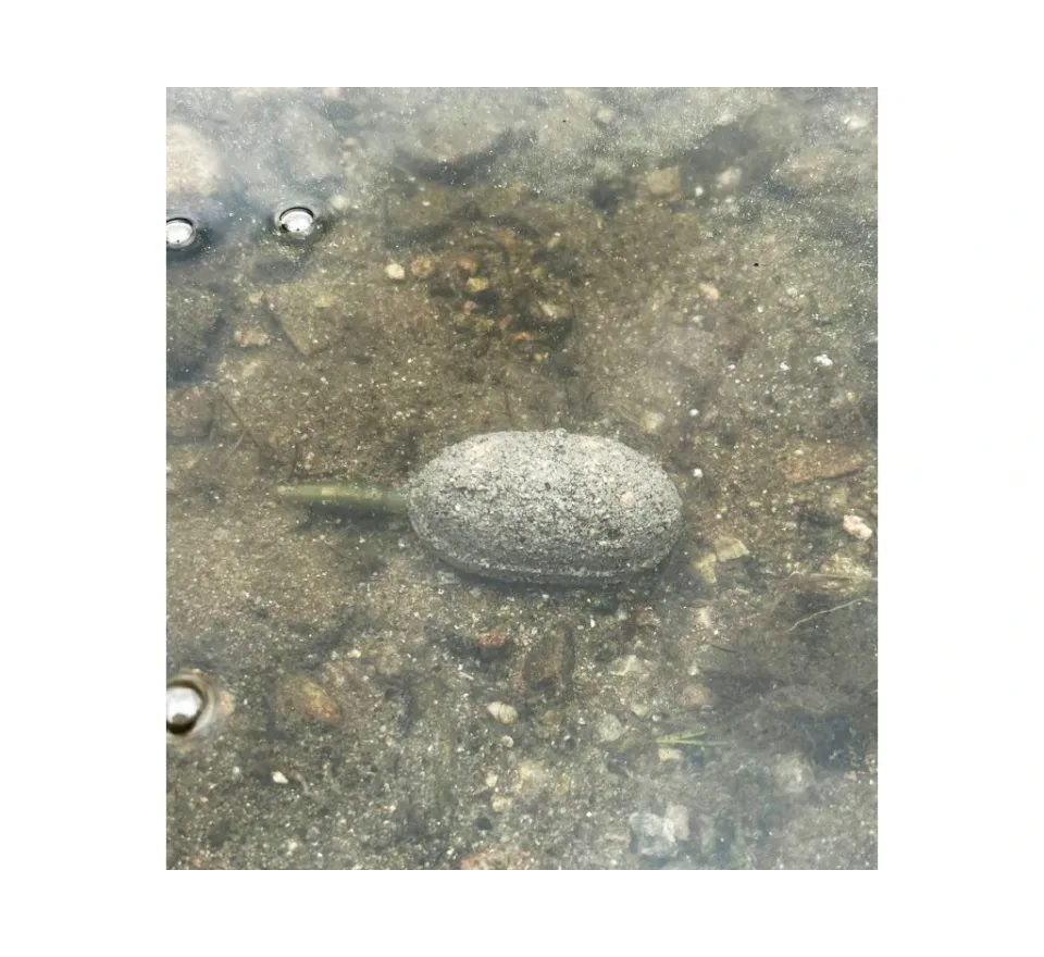 Chytil Krmítková směs Carp Mix 800g