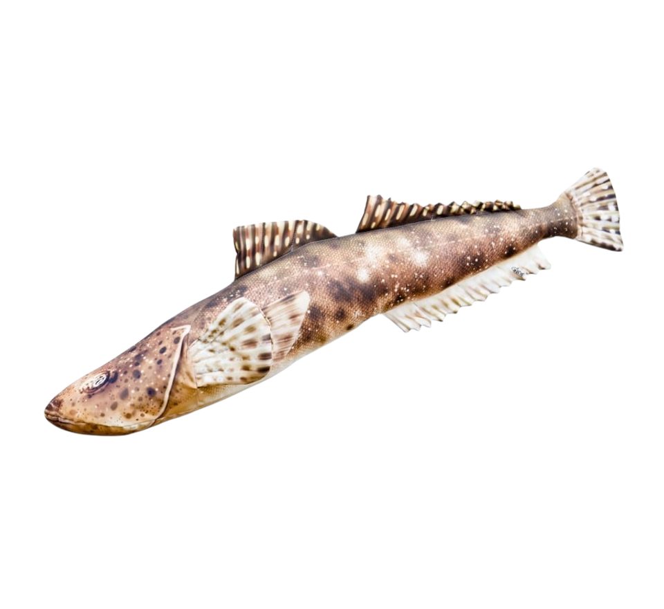 Gaby Polštář Ploskohlavec tmavý 102cm