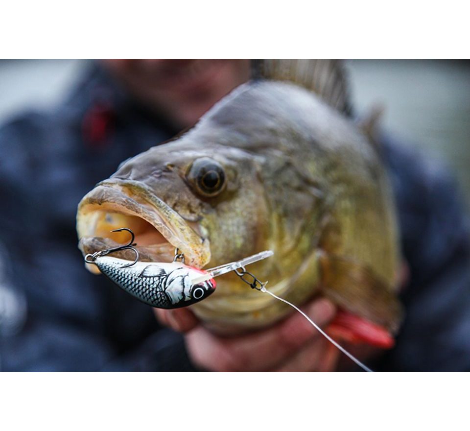 Salmo Wobler Hornet Sinking Holographic Grey Shiner