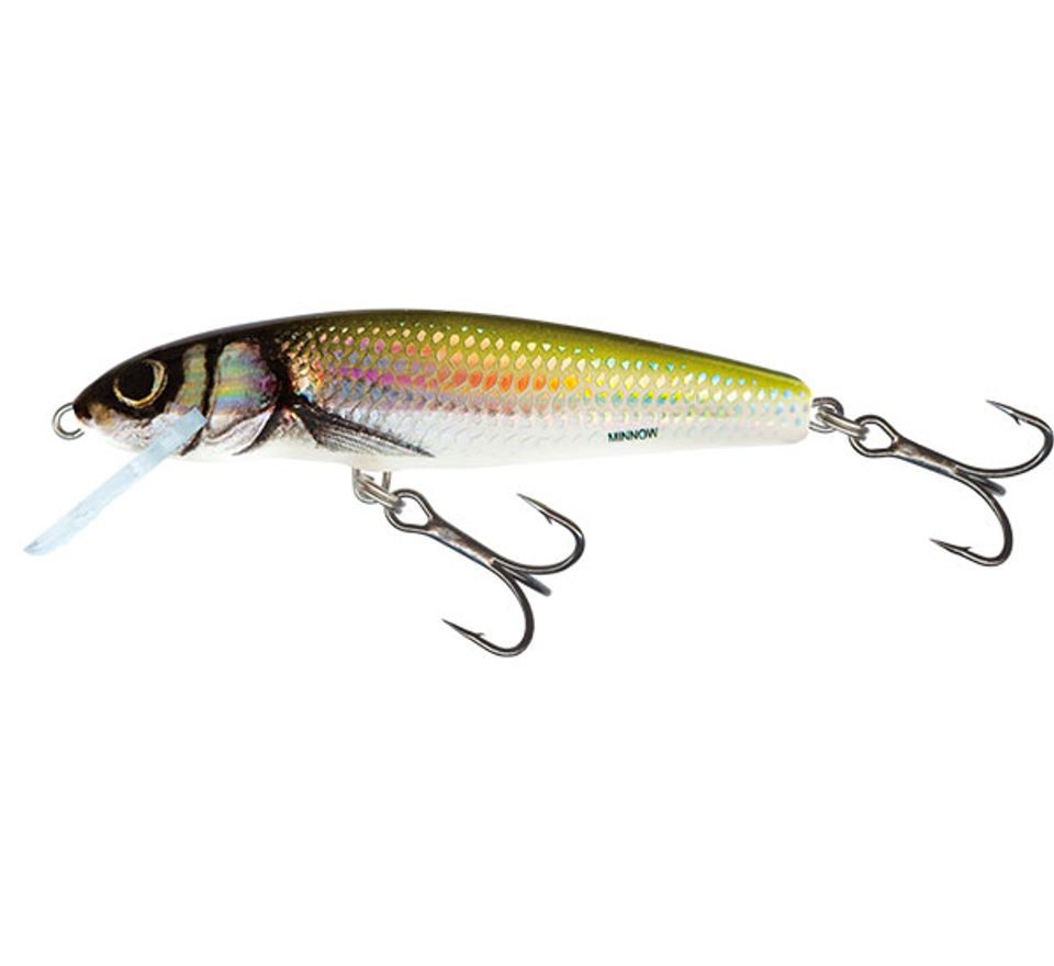 Salmo Wobler Minnow Floating 7cm