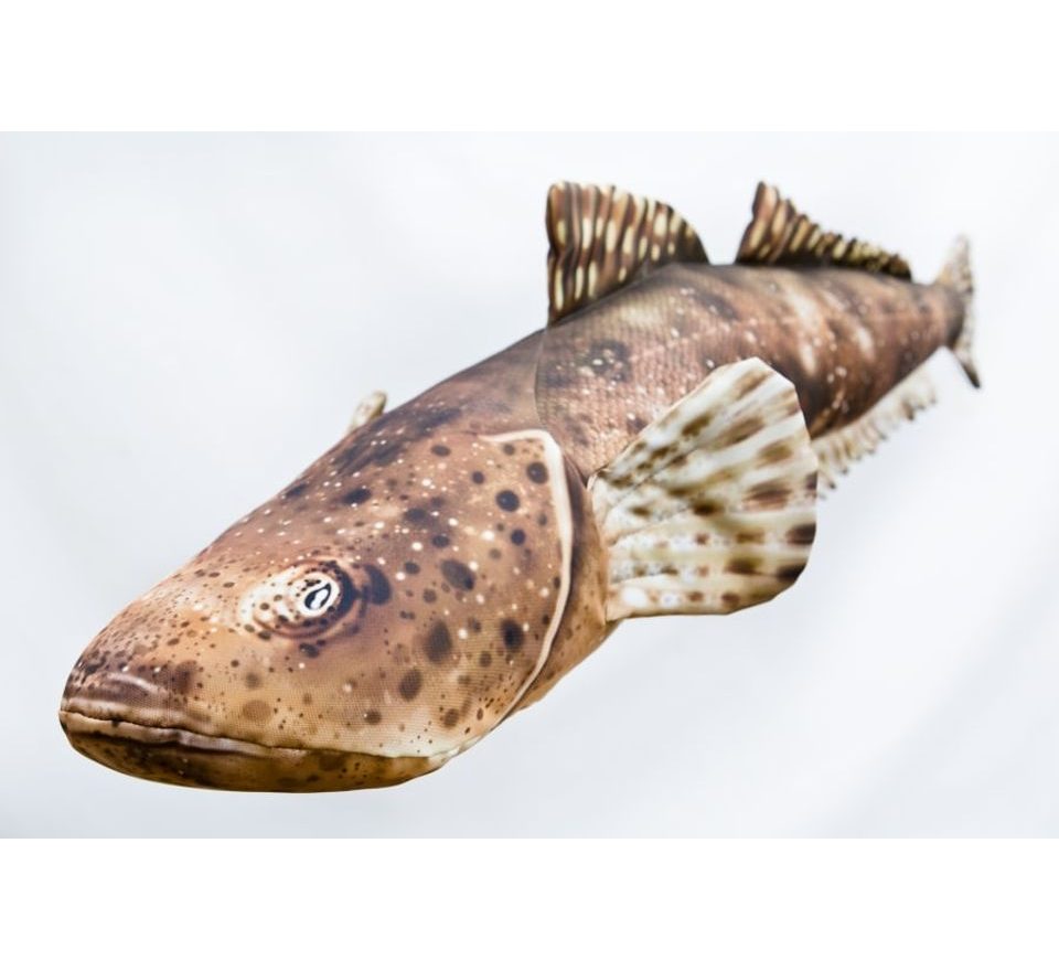 Gaby Polštář Ploskohlavec tmavý 102cm