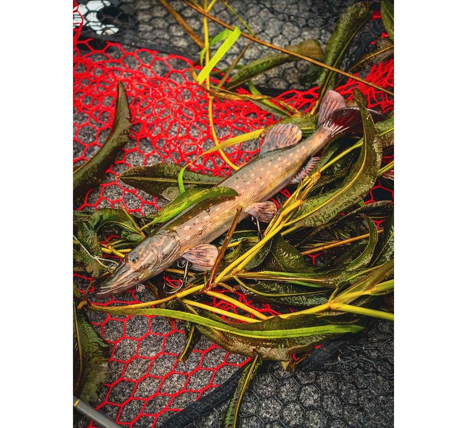 Fox Rage Gumová nástraha Ultra-Realistic Pike Replicant